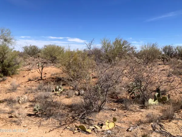 16286 W Renner, Tucson, AZ 85736