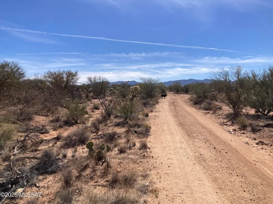 16286 W Renner, Tucson, AZ 85736 - #3