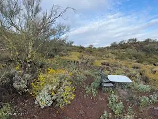 11409 E Calle Catalina, Tucson, AZ 85748 - #1