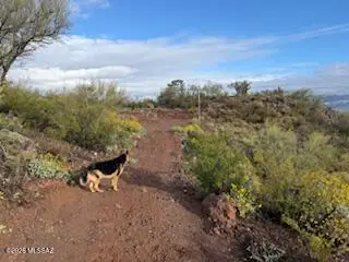 11409 E Calle Catalina, Tucson, AZ 85748 - #3