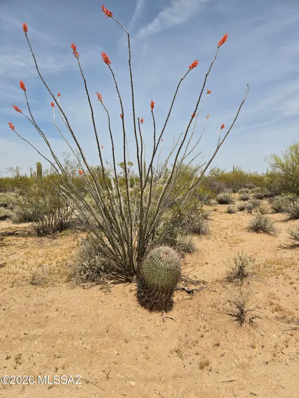 30407004H E Holt, Marana, AZ 85658