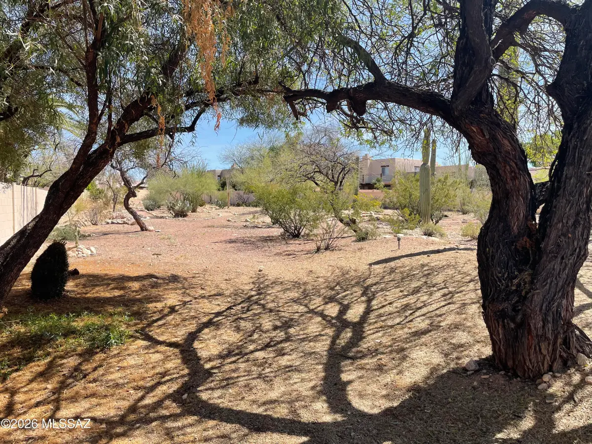 508 E Squirrel Tail, Tucson, AZ 85704 - #1