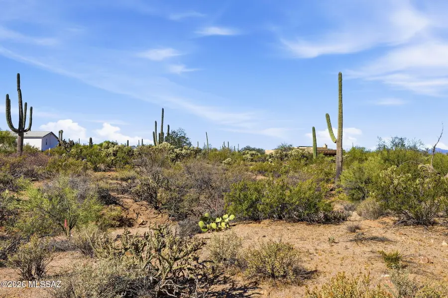 6142 N Placita Sayal, Tucson, AZ 85743 - #3