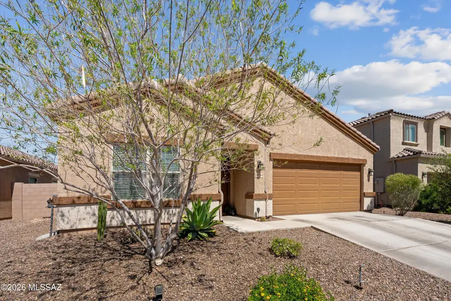 10064 N Cardon Grande, Marana, AZ 85653 - #2