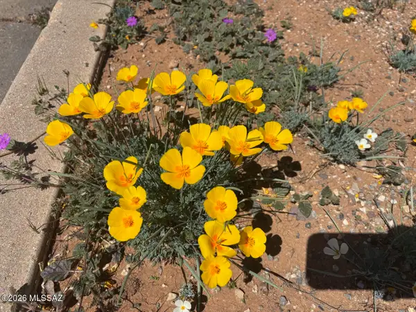 Vacant lot E Justin, Pearce, AZ 85625