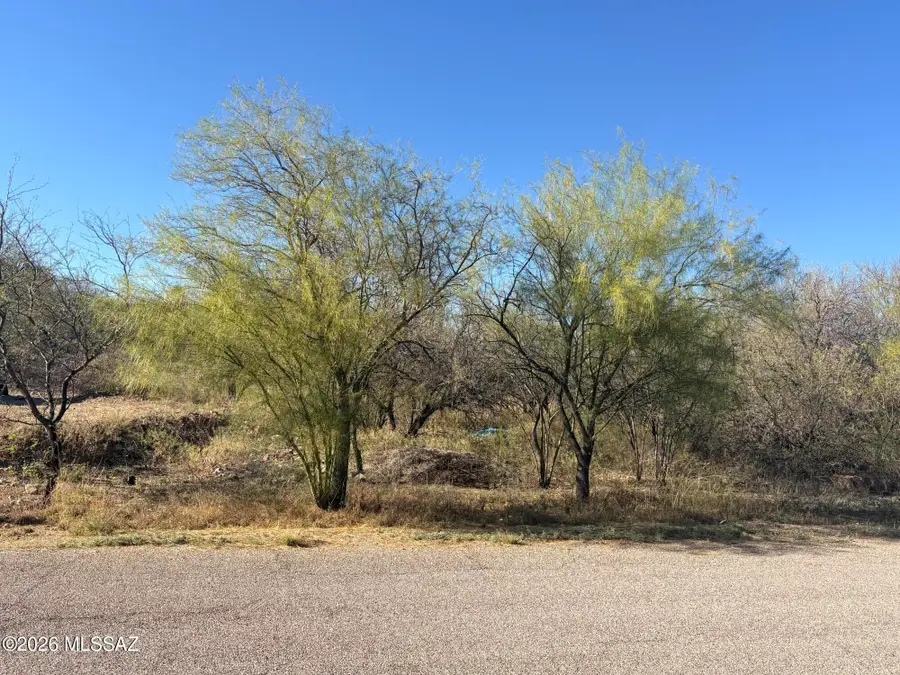 412 Wrightson, Rio Rico, AZ 85648 - #2