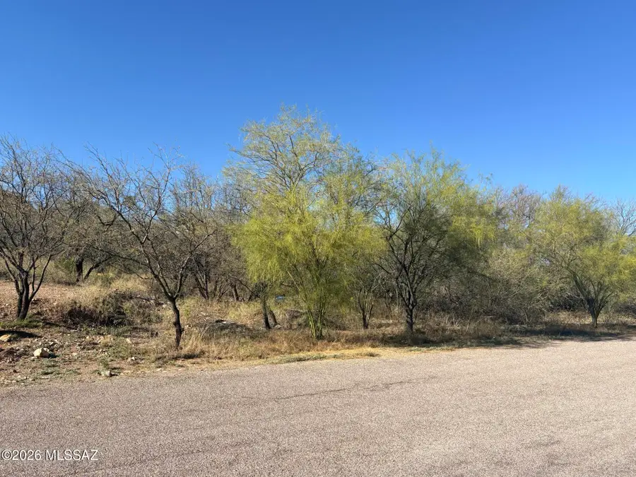 412 Wrightson, Rio Rico, AZ 85648 - #3