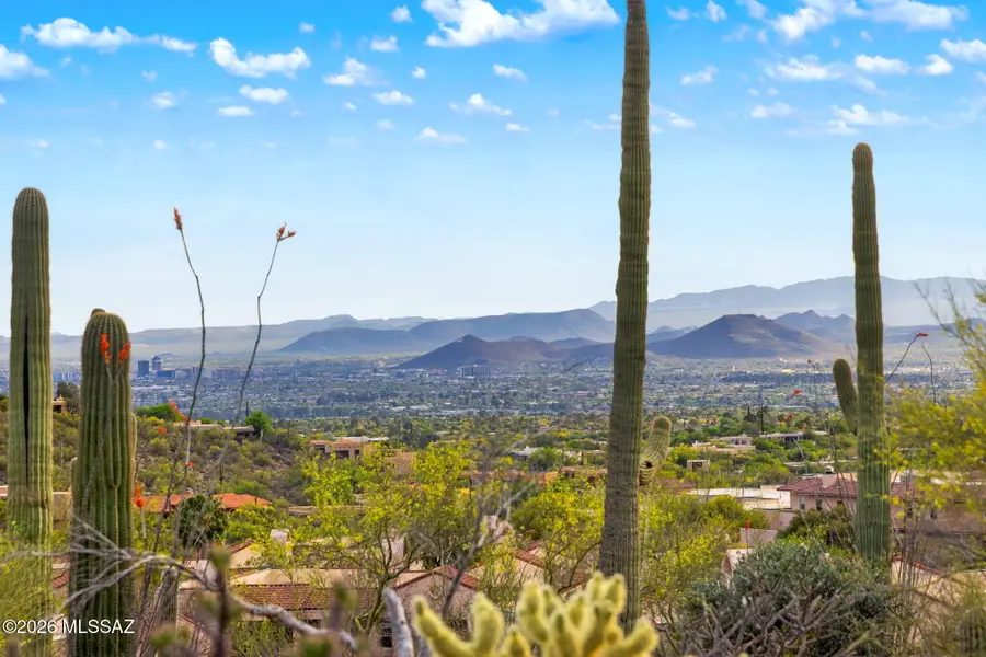 7640 N Camino Sin Vacas, Tucson, AZ 85718 - #3