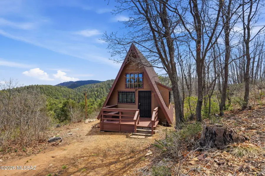 12051 N Fern, Mount Lemmon, AZ 85619 - #2