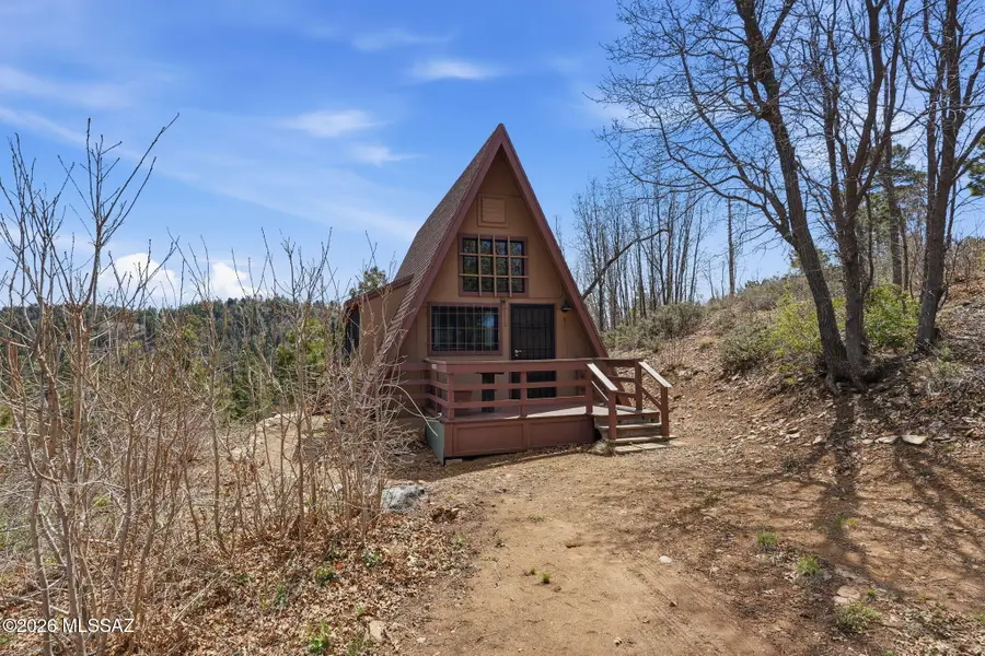 12051 N Fern, Mount Lemmon, AZ 85619 - #3