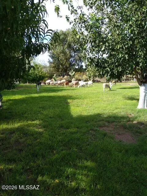 10783 S Swan, Tucson, AZ 85756 - #2