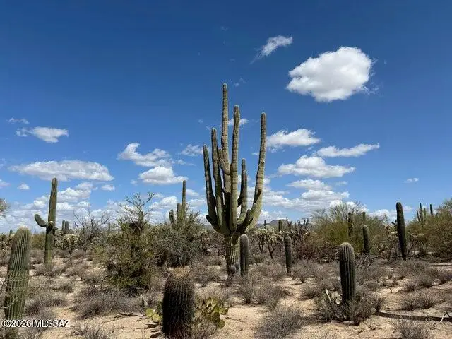 5120 W Lambert, Tucson, AZ 85742 - #1