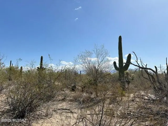 5120 W Lambert, Tucson, AZ 85742 - #3