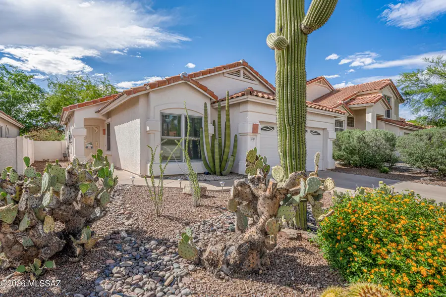 12163 N Seasons, Oro Valley, AZ 85755 - #2