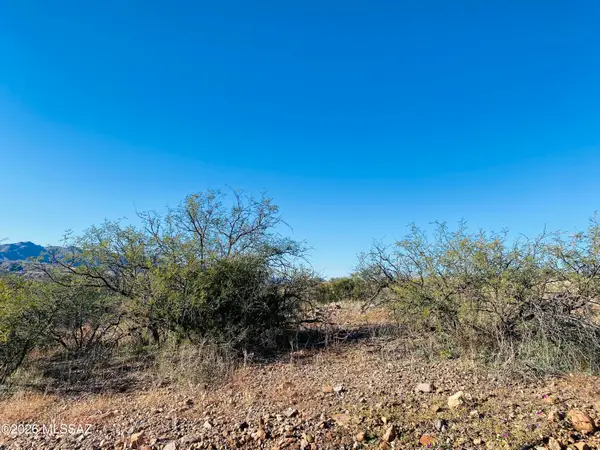 1220 Calle Tubatana, Rio Rico, AZ 85648