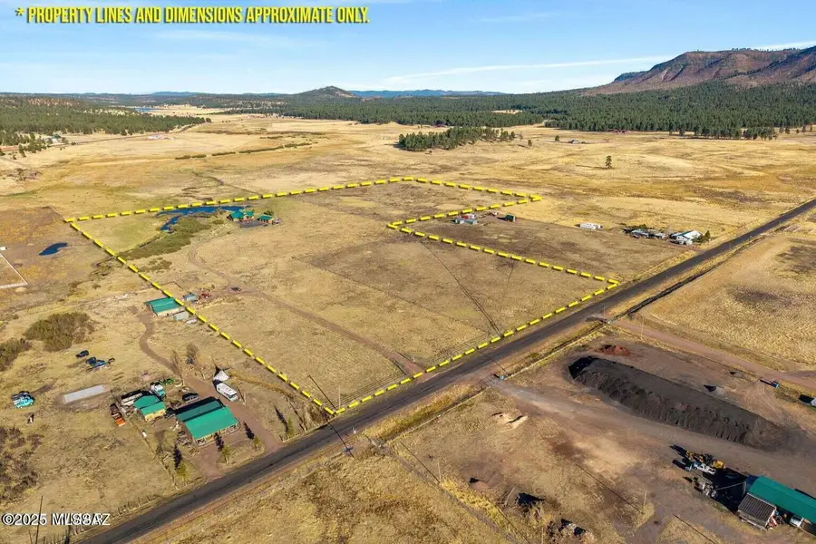 216 County Road 2311, Alpine, AZ 85920 - #2