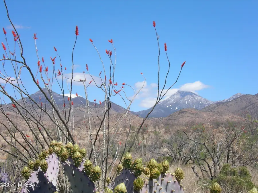 TBD Montezuma Well, Tubac, AZ 85646 - #3