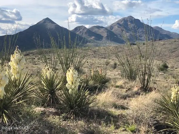 TBD Perezoso, Rio Rico, AZ 85648