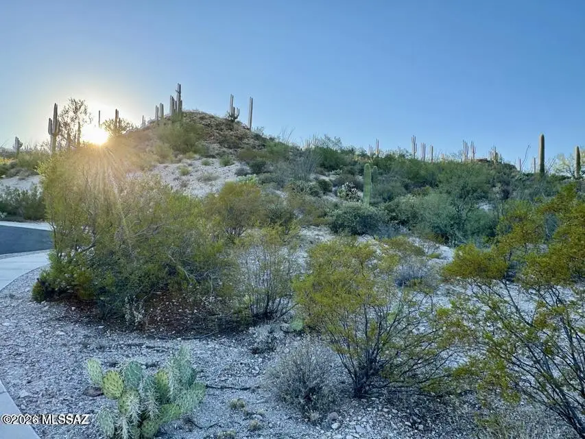 2096 S Twinkling Starr, Tucson, AZ 85713 - #2