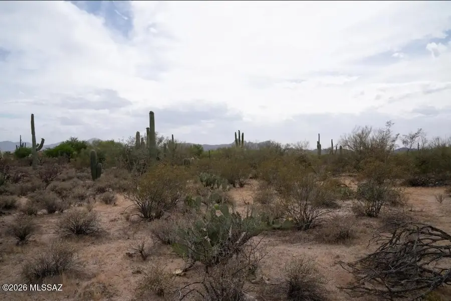 10305 N Blue Bonnet, Tucson, AZ 85742 - #2