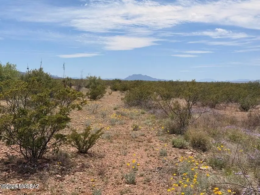 Lot 3940 N Valladolid, Douglas, AZ 85607 - #2