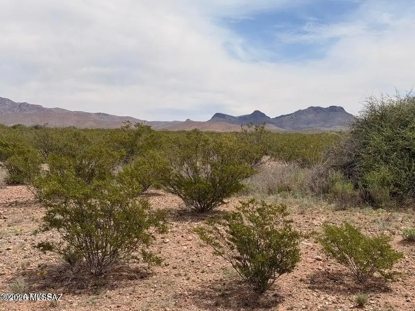 Lot 3969 N Valladolid, Douglas, AZ 85607 - #1