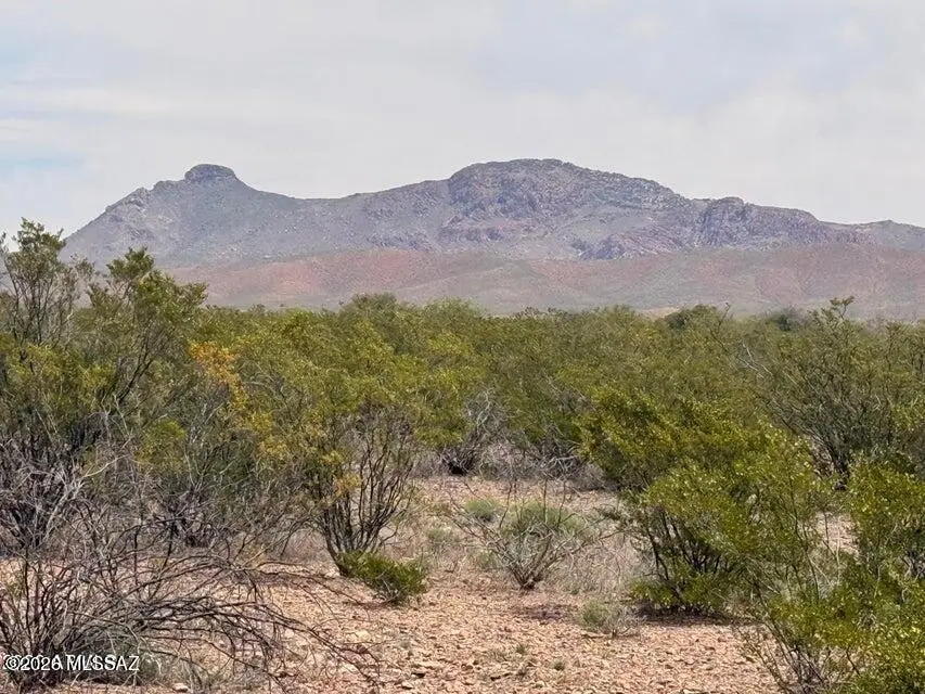Lot 3969 N Valladolid, Douglas, AZ 85607 - #2