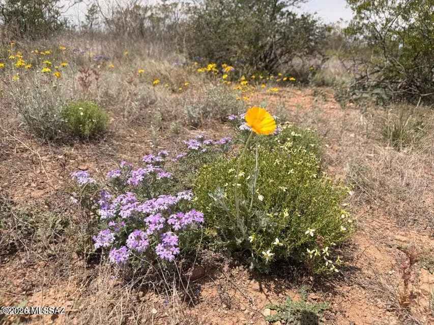 Lot 3969 N Valladolid, Douglas, AZ 85607 - #3