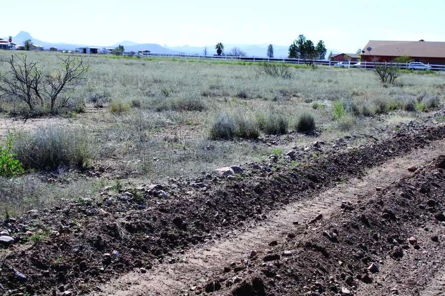 1.38 Acres N San Louis Rey, Douglas, AZ 85607 - #2