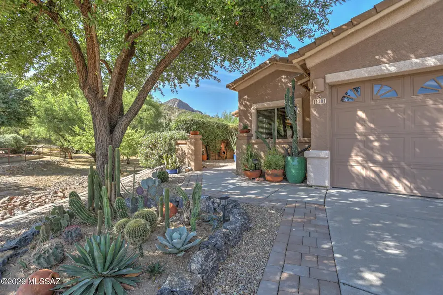 11101 N Rams Horn, Oro Valley, AZ 85737 - #3
