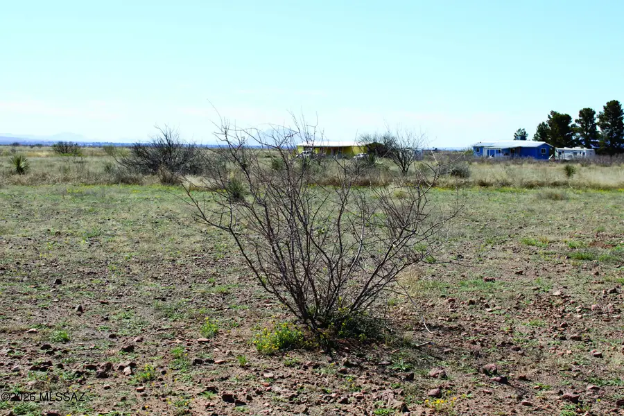 .45 Acres E Madrone, Douglas, AZ 85607 - #2