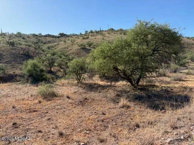 1262 Tocar, Rio Rico, AZ 85648 - #2