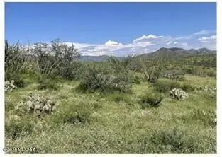 824 Morning Star, Rio Rico, AZ 85648
