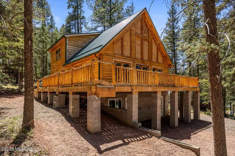 6 County Rd 2024, Alpine, AZ 85920 - #3
