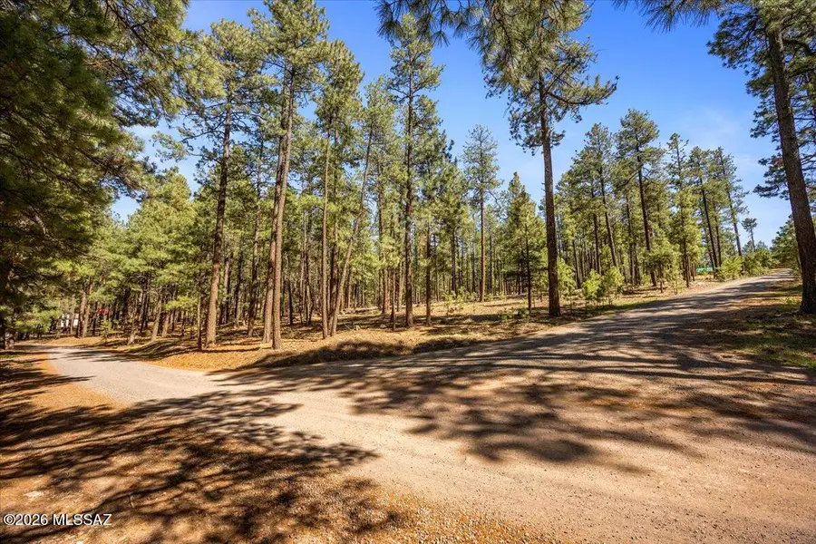 TBD County Road 2325, Alpine, AZ 85920 - #2