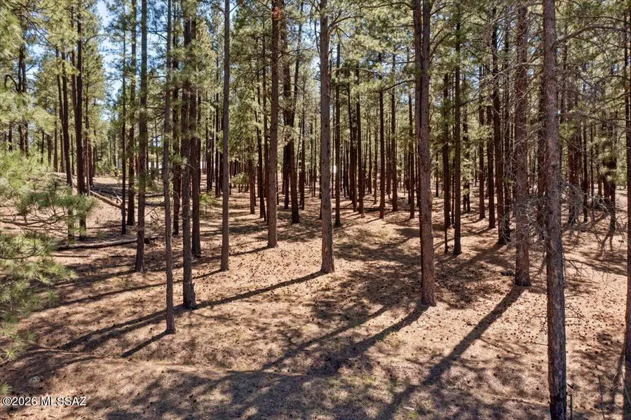 TBD County Road 2325, Alpine, AZ 85920 - #3