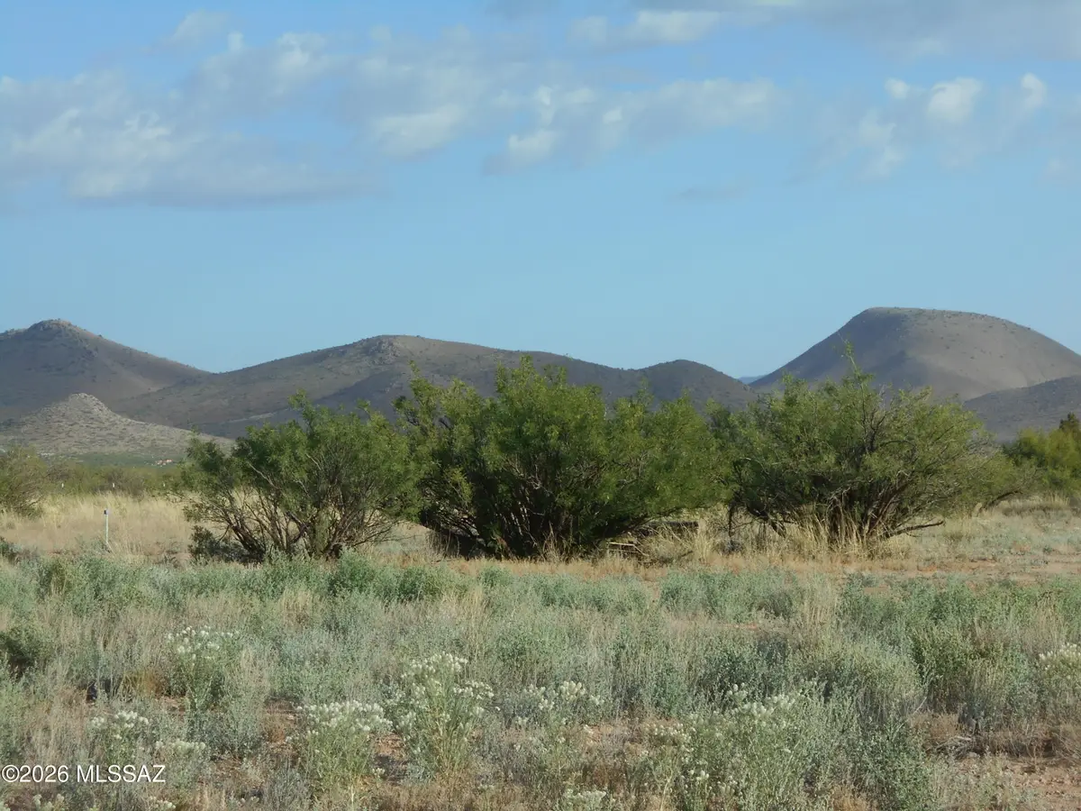 13684 S Tyree, Pearce, AZ 85625 - #1
