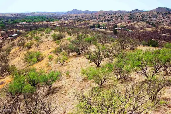 847 Side Oats, Patagonia, AZ 85624