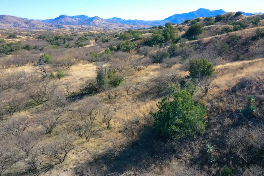 847 Side Oats, Patagonia, AZ 85624 - #2