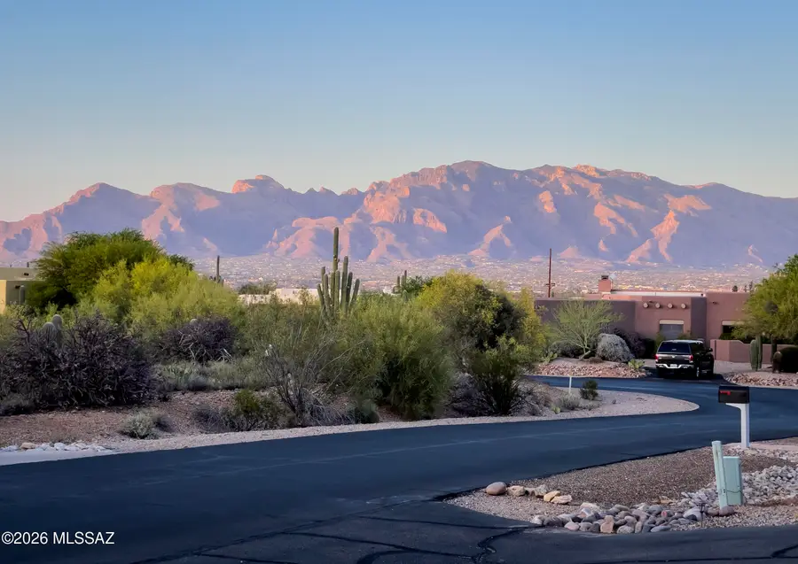 3527 W Desert Tulip, Tucson, AZ 85745 - #2