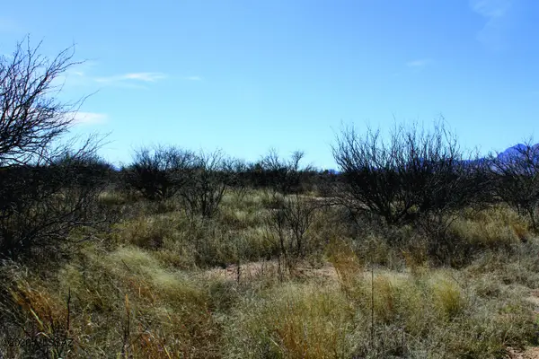 5.52 Acres E Chaco, Hereford, AZ 85615
