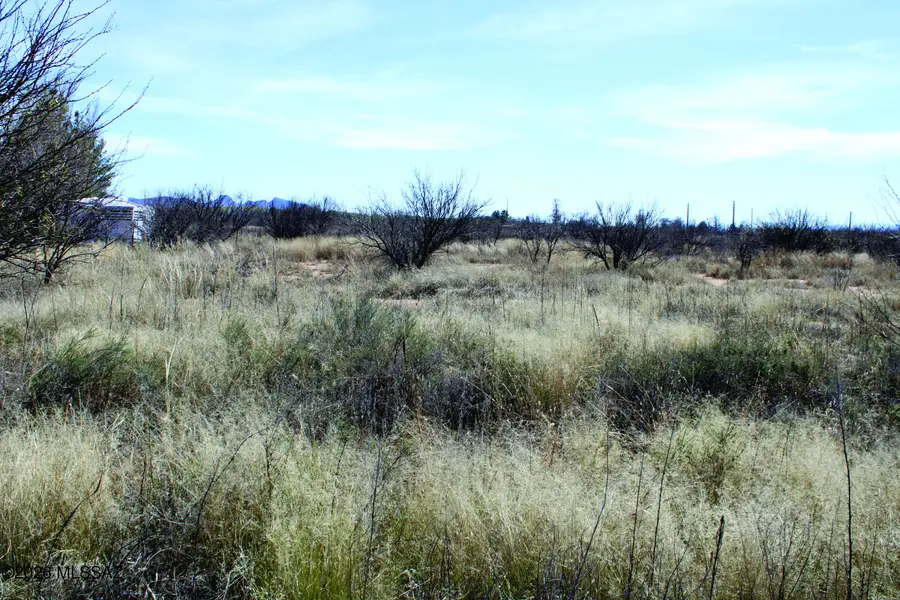 5.52 Acres E Chaco, Hereford, AZ 85615 - #3