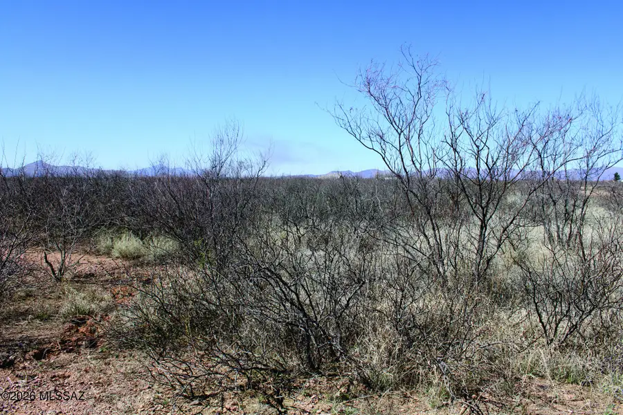 .22 Acre N Mesa, Douglas, AZ 85607 - #2
