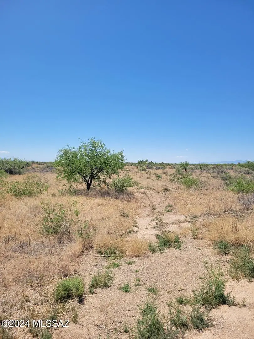 39.62 Ac N Wolf, Willcox, AZ 85643 - #2