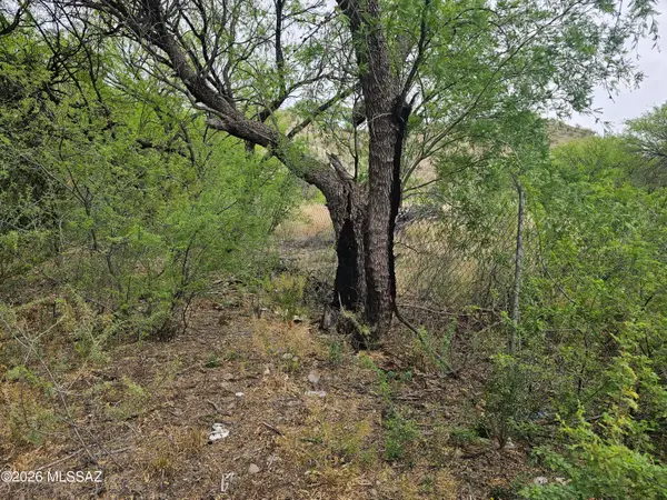 276 Harpo, Rio Rico, AZ 85648