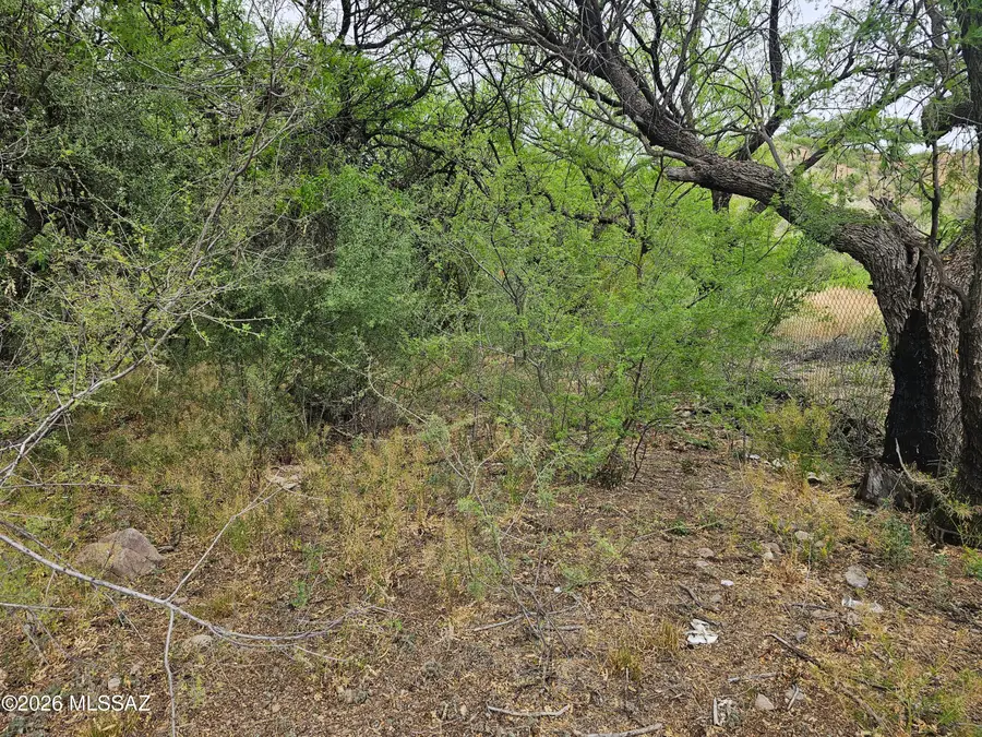 276 Harpo, Rio Rico, AZ 85648 - #2