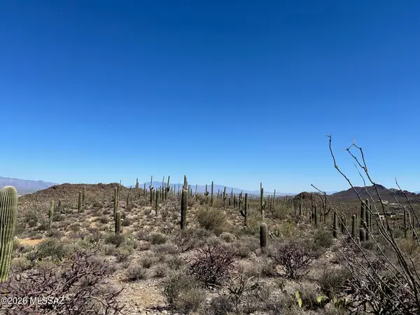 TBD W Wasson Vista, Tucson, AZ 85745