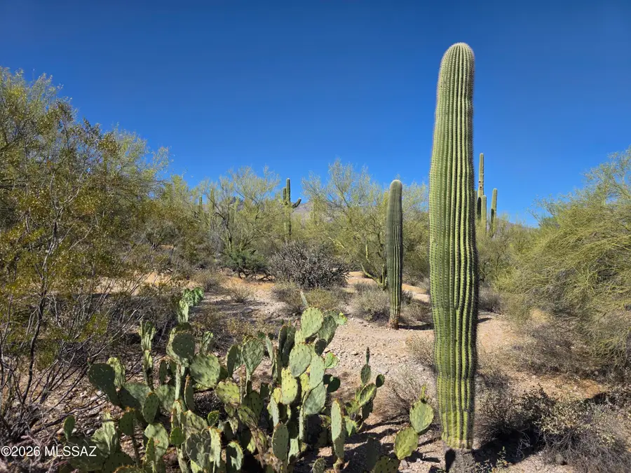 4675 N Camino Ocotillo, Tucson, AZ 85718 - #3