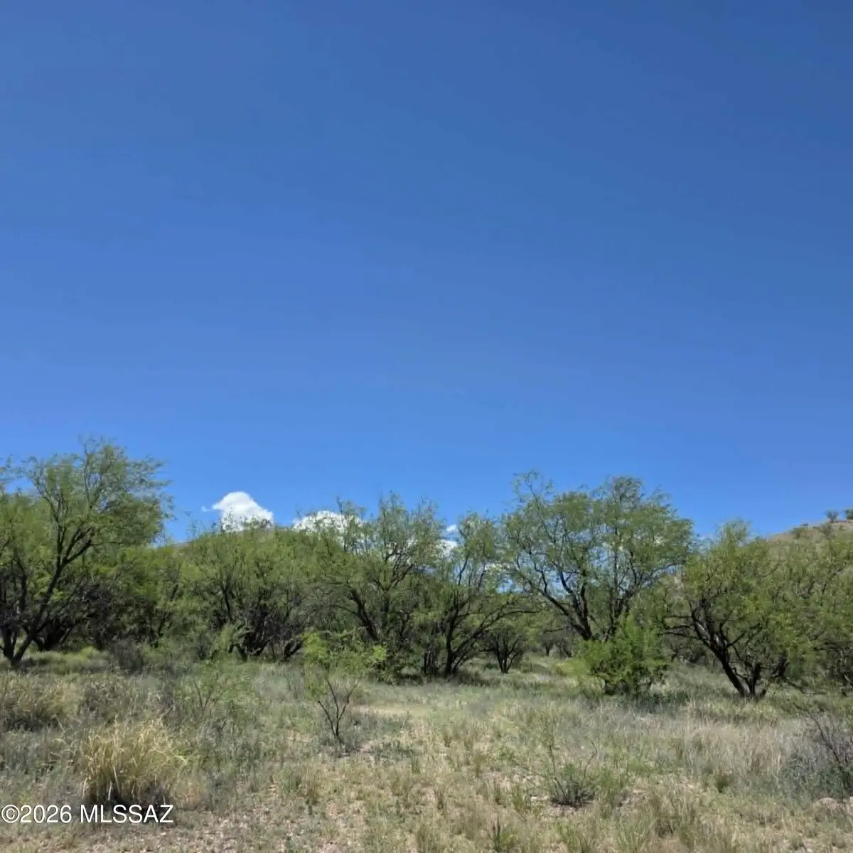 TBD Hillside, Patagonia, AZ 85624 - #1