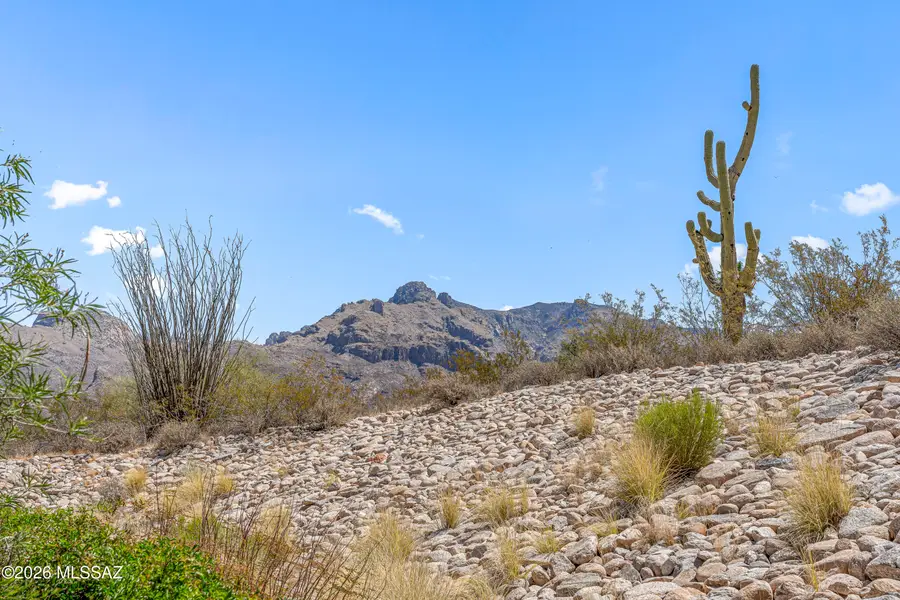 6510 N Sun Bluff, Tucson, AZ 85704 - #2